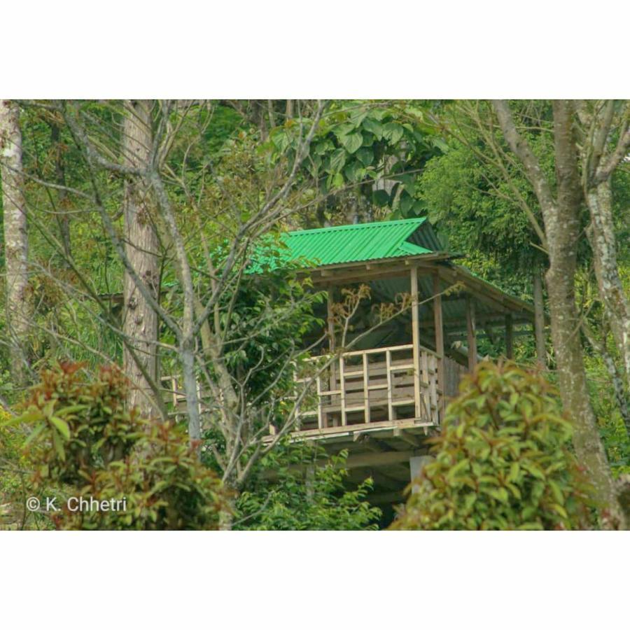 Suma Aavaas Farmstay Дарджилинг Екстериор снимка